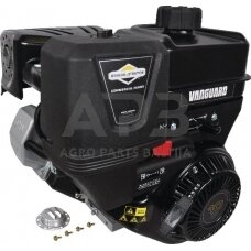 Benzininis variklis Briggs & Stratton Vanguard 19L2370319F1