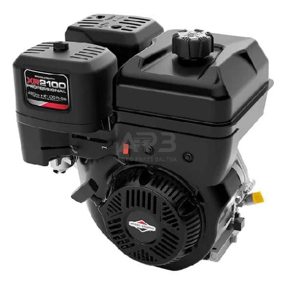 Benzininis variklis Briggs & Stratton 210 25T2320120H5