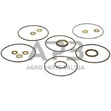 Case IH 1194 VPJ4062 Orbitrol sandarinimo rinkinys