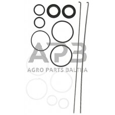 Case IH 3230 55355C91 vairo cilindro remonto komplektas