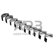 Case IH C100 VPC3032 Pagrindinis guolių rinkinys +0,020"