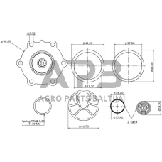 Case IH C55 4157606N Kuro pakėlimo siurblio remonto komplektas