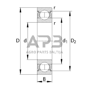 Case IH AVJ55 60142RS Gilaus griovelio rutulinis guolis 70x110x20mm INA/FAG