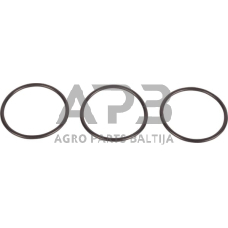 Dalis AGCO 3010501X1 O žiedas