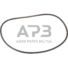 Dalis AGCO 3384524M1 žiedas