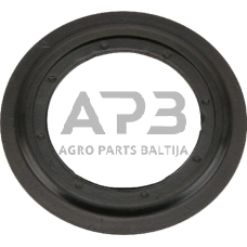 Dalis AGCO H165300062060 Antspaudas