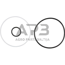 Dalis AGCO V31971900 Sandarinimo komplektas