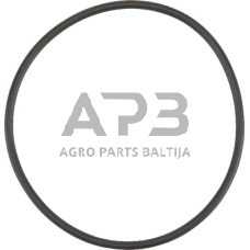 Dalis AGCO X548953166000 O žiedas