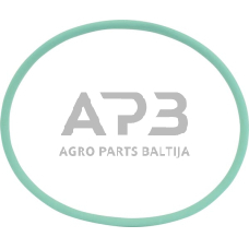 Dalis AGCO X548974401000 O žiedas