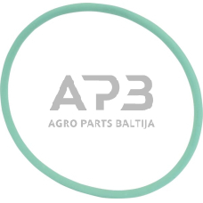 Dalis AGCO X548974401000 O žiedas