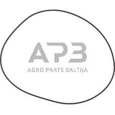 Dalis AGCO X549040200000 O žiedas