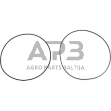 Dalis Carraro CI140807 Ašinis sandarinimo žiedas D138+OR 3500