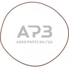 Dalis Case-IH technikai 14469481 O žiedas