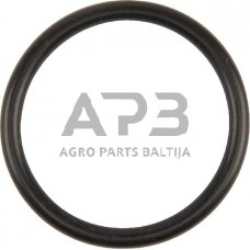 Dalis Case-IH technikai 717068R1 žiedas