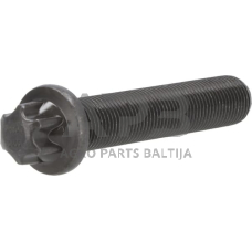 Dalis DEUTZ-FAHR technikai 04253406 Torx galvos varžtas