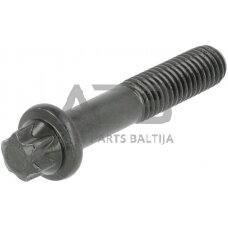 Dalis DEUTZ-FAHR technikai 04902399 Torx galvos varžtas