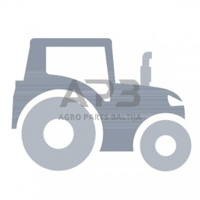 Dalis AGCO F119200100030 Antspaudas