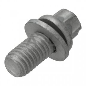 Dalis DEUTZ-FAHR technikai 01181420 Torx galvos varžtas