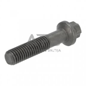 Dalis DEUTZ-FAHR technikai 04123112 Torx galvos varžtas