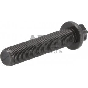 Dalis DEUTZ-FAHR technikai 04253406 Torx galvos varžtas