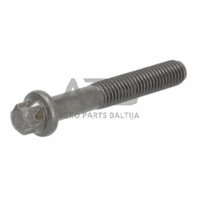 Dalis DEUTZ-FAHR technikai 04291334 Torx galvos varžtas