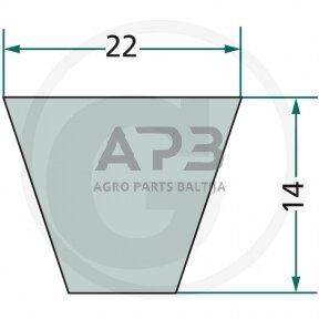 Dantytas diržas C102 22x2591mm Li, 22x2679mm La