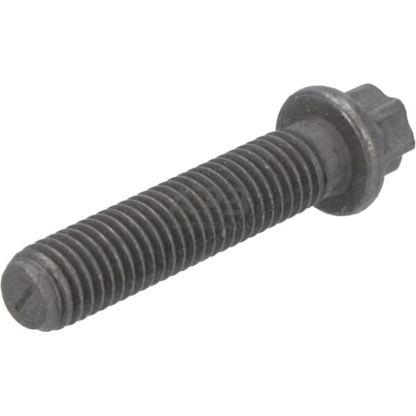 Dalis DEUTZ-FAHR technikai 01181756 Torx galvos varžtas 1