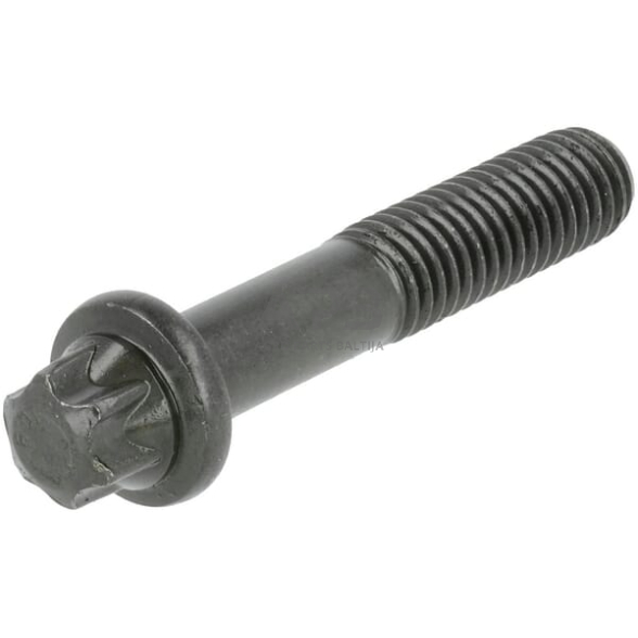 Dalis DEUTZ-FAHR technikai 04902399 Torx galvos varžtas