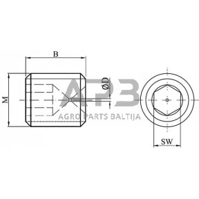 Droselinės sklendės varžtas M8 Ø 0.7mm, SSM8807