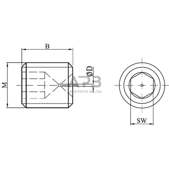 Droselinės sklendės varžtas M8 Ø 0.7mm, SSM8807 1