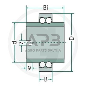 Dvieilis nusistatantis rutulinis guolis FAG 11204