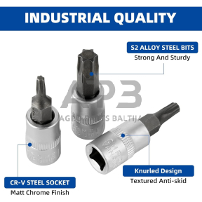 Galvučių su antgaliu rinkinys 3/8" (T-10-T-60)(torx) 9vnt.