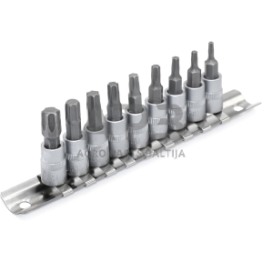 Galvučių su antgaliu rinkinys 3/8" (T-10-T-60)(torx) 9vnt.