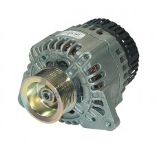 Generatorius Mahle 14V 100A IA1019