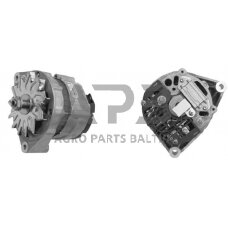 Generatorius Mahle 14V 45A MG563