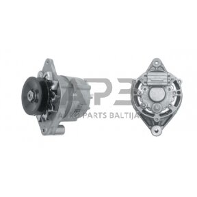 Generatorius Mahle 14V 33A IA0784