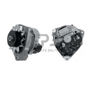 Generatorius Mahle 14V 55A IA0230