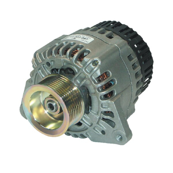 Generatorius Mahle 14V 100A IA1019