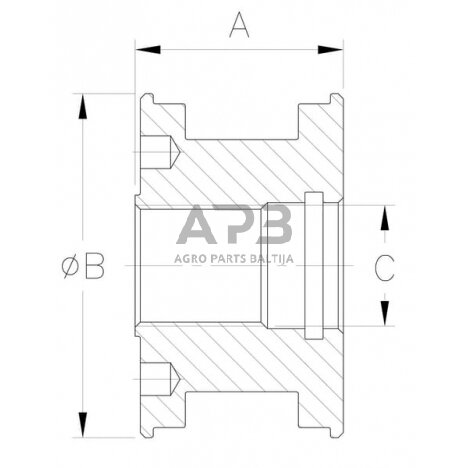 Hidraulinio cilindro stūmoklinė galva DS25 DS2910004VM 1