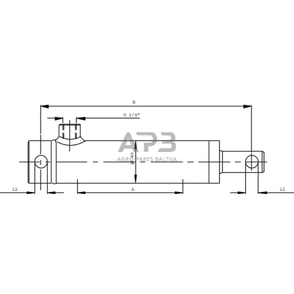 Vienpusis hidraulinis cilindras EPL20100 1