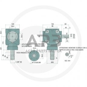 Kampinis reduktorius BONDIOLI & PAVESI 415S2020100F103