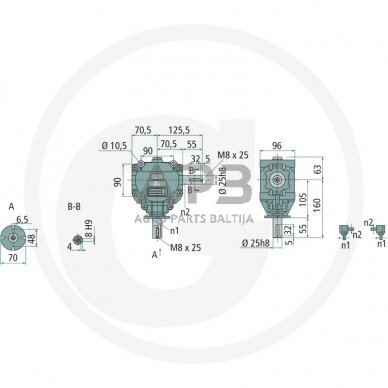 Kampinis reduktorius BONDIOLI & PAVESI 415S1018278F202 1