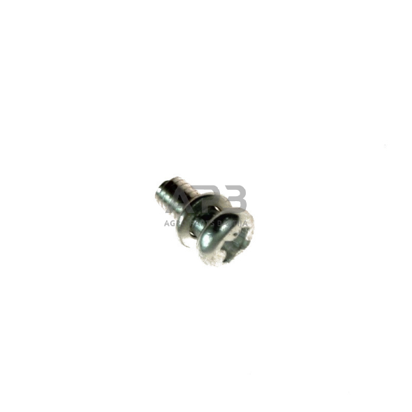 Karbiuratoriaus varžtas M3x0,50x6 mm