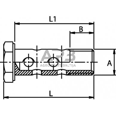 Kuro žarnos varžtas dvigubas 1/2 BSP HBB08D 1