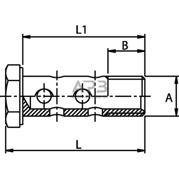 Kuro žarnos varžtas dvigubas M12x1,5 HBM12D 1