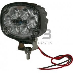 LED darbo žibintas ovalus 30W, 3000lm, LA10433