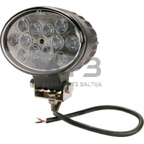 LED darbo žibintas ovalus 36W, 2760lm, 10/30V, 144x85x95mm, 12 LED LA10060