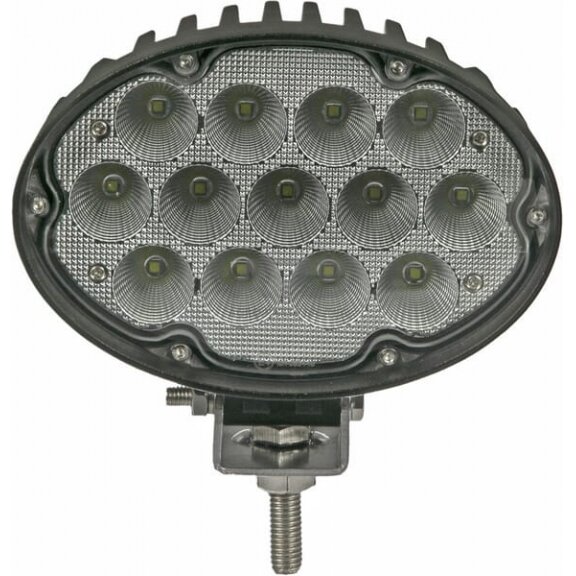 LED darbo žibintas ovalus 65W, 5200lm, LA10432 3