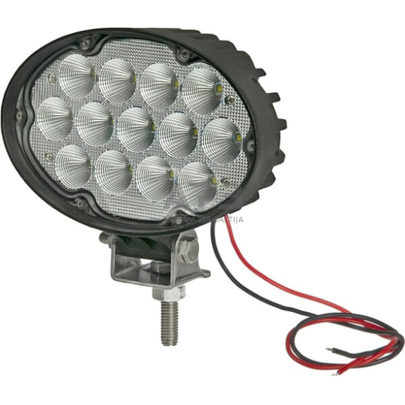 LED darbo žibintas ovalus 65W, 5200lm, LA10432