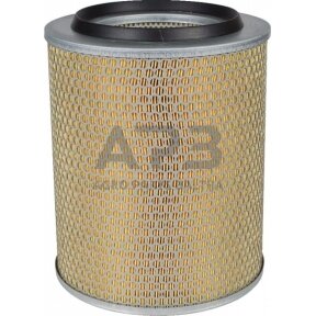 Oro filtras MANN-FILTER C24393